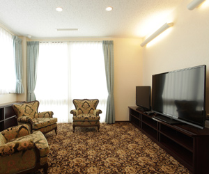 ＡＨＡマイルド（乾燥肌～普通肌）